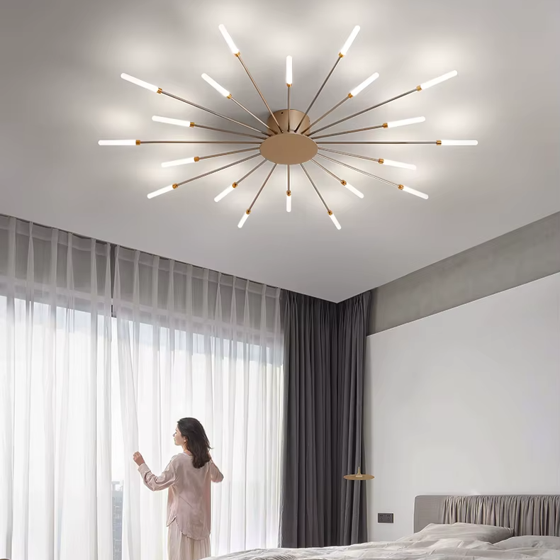 Luminaire Plafonnier