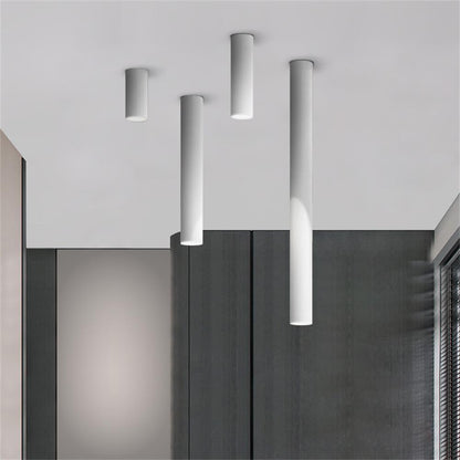 Luminaire Plafonnier