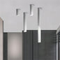 Luminaire Plafonnier