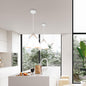 Suspension Luminaire