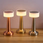 Lampe LED sans fil