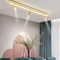 Luminaire Plafonnier
