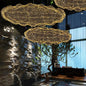 Suspension Luminaire