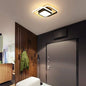 Luminaire Plafonnier