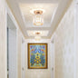 Luminaire Plafonnier