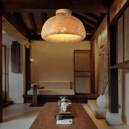 Luminaire Plafonnier