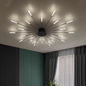Luminaire Plafonnier