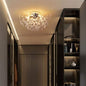 Luminaire Plafonnier