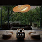 Suspension Luminaire